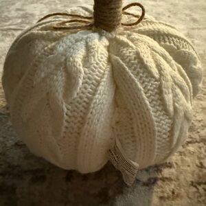 Cozy Knit Pumpkin Decor